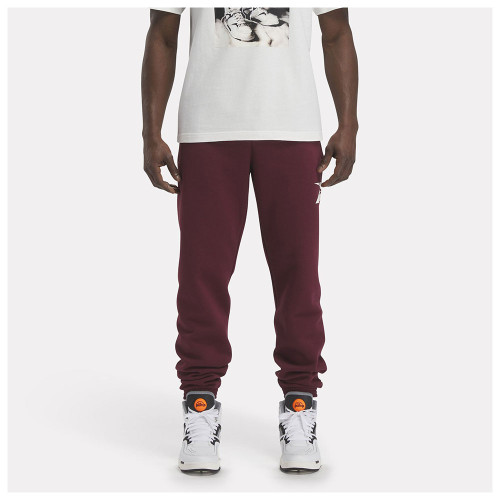 Reebok Ανδρικό παντελόνι φόρμας Classics Brand Proud Pants